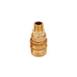 Cople conex rapid 1/4"NPT M