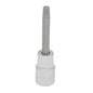 Dado pta torx 1/2" T25