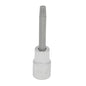 Dado pta torx 1/2" T40