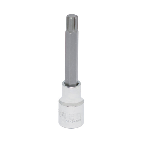 Dado pta ribe 1/2" 10mm