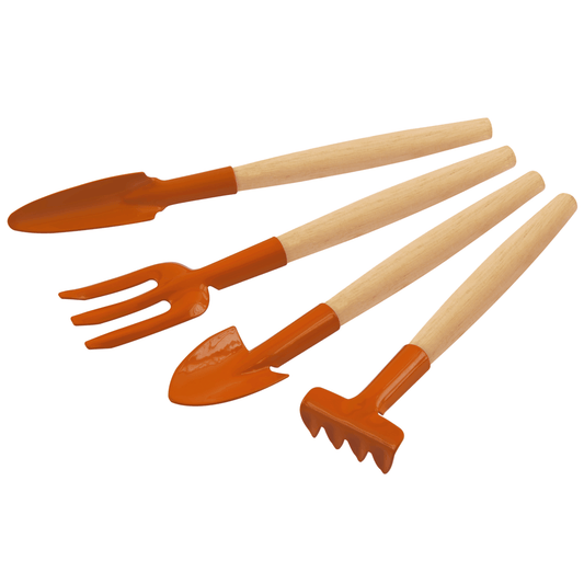 Kit para Bonsay 4 PiezasMago Madera Naranja